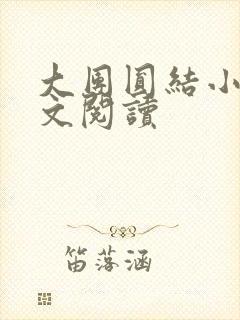 大团圆结小茹全文阅读