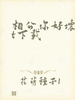 相公你好坏txt下载