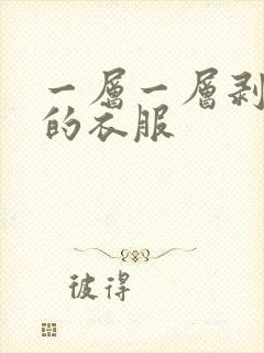 一层一层剥开你的衣服