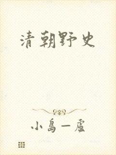 清朝野史