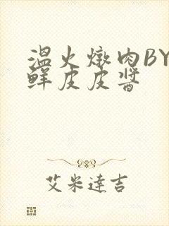 温火炖肉BY海鲜皮皮酱