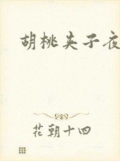 胡桃夹子夜未眠