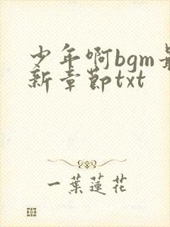 少年啊bgm最新章节txt