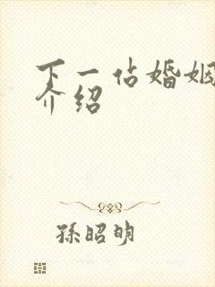 下一站婚姻剧情介绍