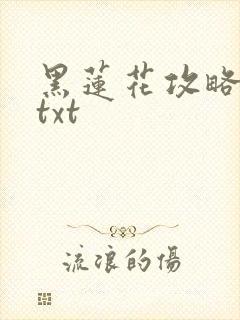 黑莲花攻略手册txt