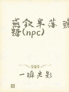 燕钗半落 琥珀糖(npc)