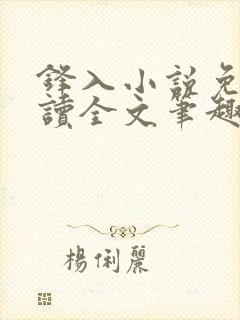 锋入小说免费阅读全文笔趣阁