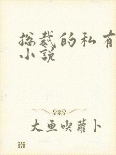 总裁的私有宝贝小说