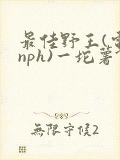 最佳野王(电竞nph)一坨薯饼