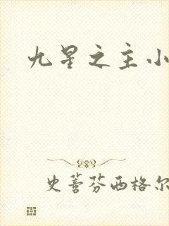 九星之主小说