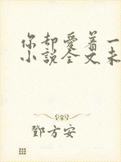 你却爱着一个他小说全文未删减免费