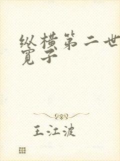 纵横第二世界 宽子
