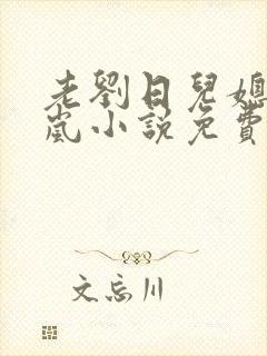 老刘日儿媳妇张岚小说免费阅读