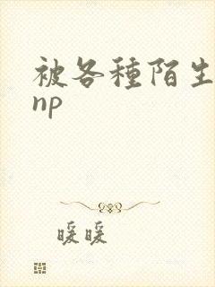 被各种陌生人 np封面