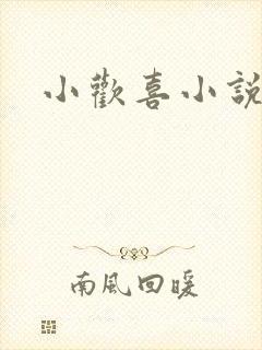 小欢喜小说