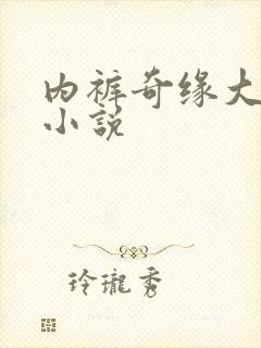 内裤奇缘大团结小说