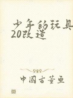 少年的玩具1一20改造