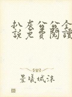 扒灰公公全部小说免费阅读全文