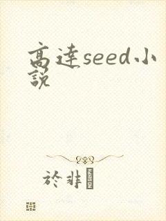 高达seed小说