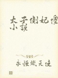 太子侧妃傻乎乎小说