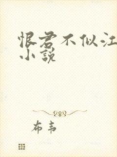 恨君不似江楼月小说