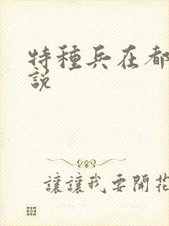 特种兵在都市小说