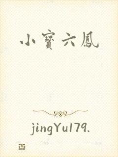 小宝六凤