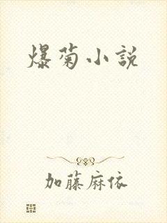 爆菊小说