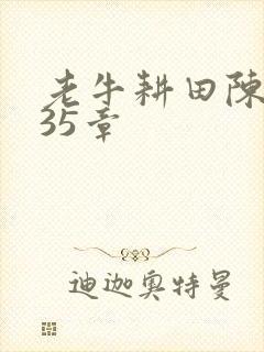 老牛耕田陈雪435章