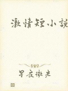 激情短小说