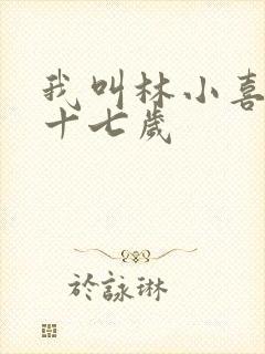 我叫林小喜今年十七岁
