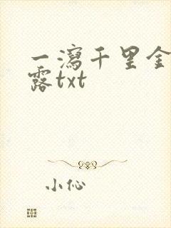 一泻千里金银花露txt