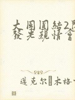 大团圆结2闪闪发光亲情会