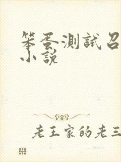 笨蛋测试召唤兽小说