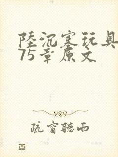 陆沉塞玩具高速75章原文