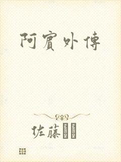 阿宾外传