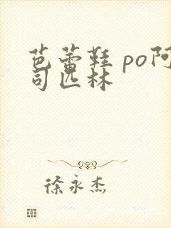 芭蕾鞋 po阿司匹林