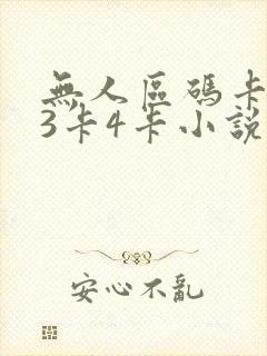 无人区码卡二卡3卡4卡小说