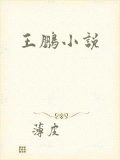 王鹏小说