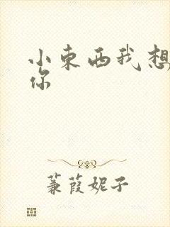 小东西我想弄坏你