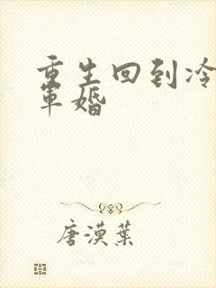 重生回到冷战前军婚