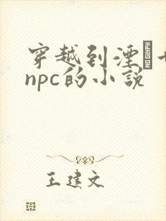 穿越到湮婸世界npc的小说