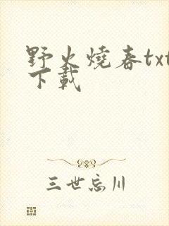 野火烧春txt下载