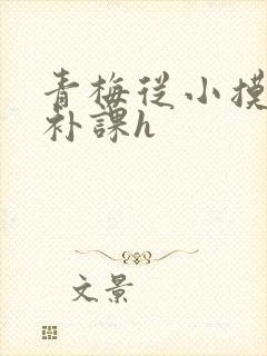 青梅从小摸到大补课h