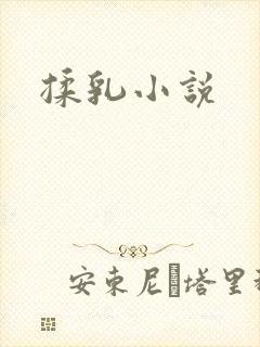 揉乳小说