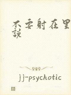 不要射在里面小说