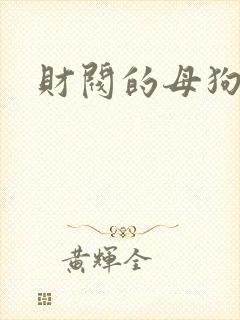 财阀的母狗们