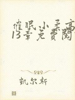 催眠小柔高达第13章免费阅读