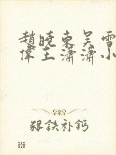 赵晓东吴雪晴郑伟王潇潇小说名字