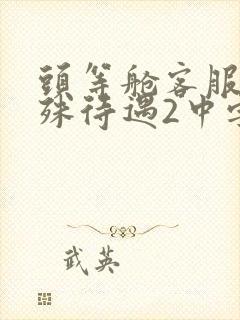 头等舱客服的特殊待遇2中字